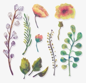 Watercolor Flowers Watercolour Painting Models Of Water - Watercolor Painting