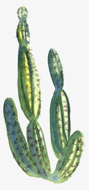 Collection Of Free Cactus Transparent Water Paint Download - Watercolor Painting