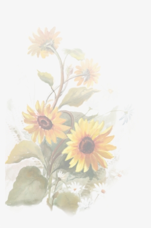 Chrysanths