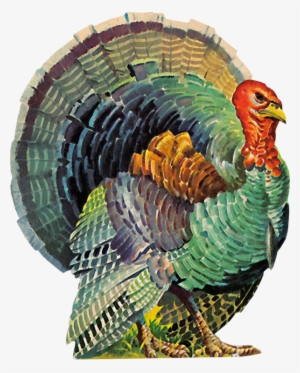 Images, Printables, & Digital Scrapbooking Buttons - Vintage Illustrations Of Turkeys