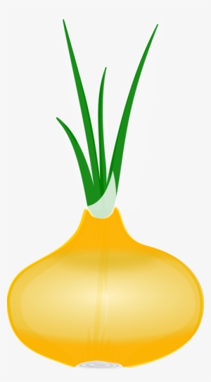 Fruits & Vegetables Clipart Onion - Onion Clip Art