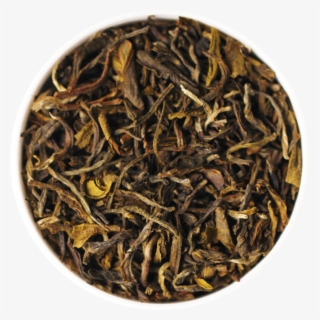 Free Download Lens Png Images - Hipstamatic 201