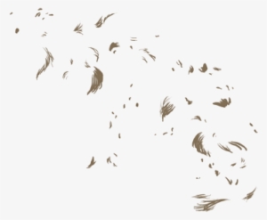 Flock