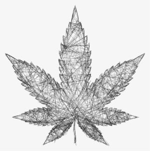 Big Image - Leaf Wireframes