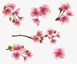 Cherry Blossom Tree, Cherry Blossom Drawing, Cherry - Tree With Pink ...