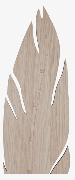 Hagelens Feather Growth Chart 2