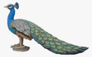Peacock Garden Ornament - Garden Ornament