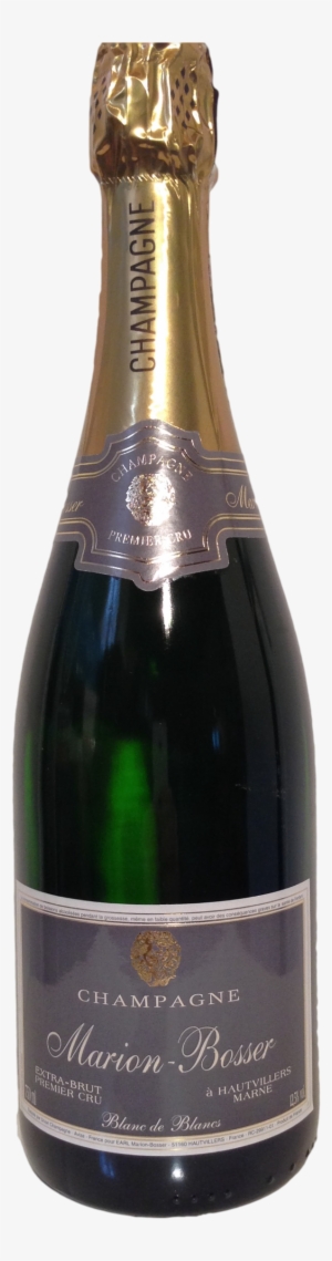 Extra Brut Clipped Rev 2 - Wine