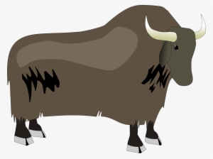 Png Source - Yak Vector Png