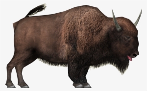 Jpg Black And White Library Bison Clipart White Background - Бизон Пнг