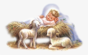 Quizás También Le Interese - Date Was Jesus Born