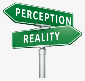 Never Miss A Moment - Perception Reality