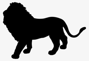 Golden Triangle Tour With Ranthambore - Leon Parado En Dos Patas