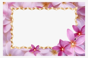 Png Frame Love Frame Png Flower Frame Wedding Frame - Meaning Of Judy Ann
