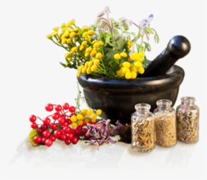 Download Png Image Report - Ayurveda Png