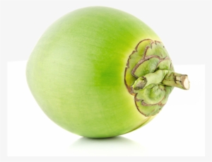 Green Tender Coconut - Green Coconut