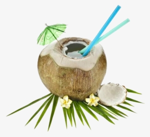The Coconut Processing Therefore Traditionally Remained - Fresh Coconut Water