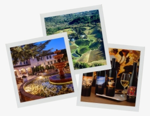 Raffle Collage - Benziger Family Winery