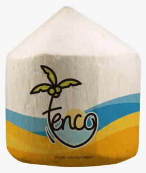 From Accenture To Tender Coconut, The Story Of Tenco - Tenco Foods