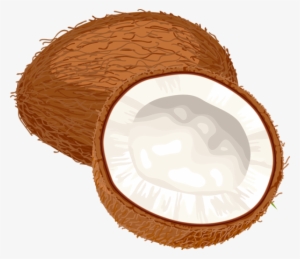 Coconut Clipart Cute