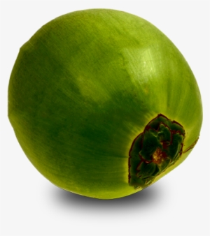 Green Coconut Png - Papaya