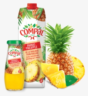 < Back - Finca Santa Clara Passion Fruit & Pinneapple Gourmet