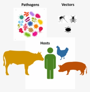 Climate Change Can Affect Different Actors Along The - Illustration