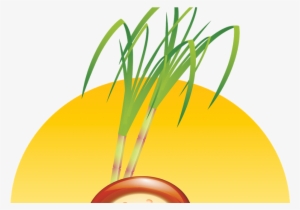 Mud Pongal Pot Vector