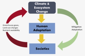 The Relationship Between Humans And Climate Is Complex - Ecosystem Changes Over Time