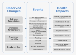 Climate Change Flow Chart Final - Impacts Of Climate Change Flowchart