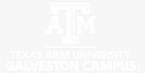 Custom Stacked Logo Electronic White - Texas A&m