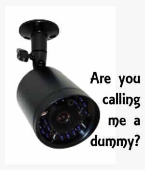 Should You Buy Dummy Outdoor Security Cameras - Astellas/bladder And Bowel Foundation - Astellas