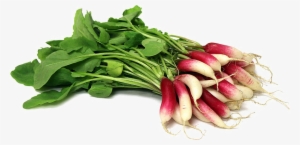 Radish Png Free Download - Radish Png