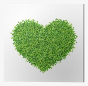 Grass And Plants, Small Green Heart - Heart Made From Plants