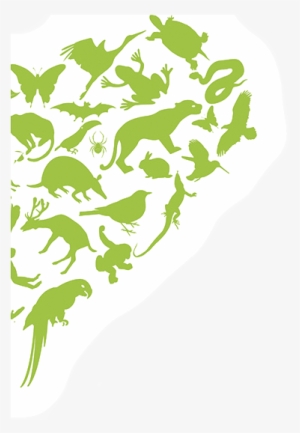 Green Heart Donation - Green Motion
