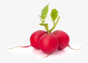 Potato And Radish Salad - Ravanelli Png