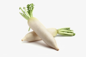 Mooli Png Photos - White Radish Benefits