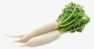 Imago Radish Seeds (radish)