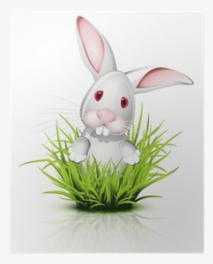 Conejo Dibujo Con Fondo Transparente