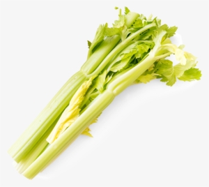 Made With Agalima Bloody Mary Mix - Chard