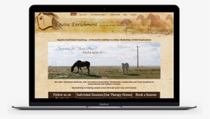 Original Equine Enrichment