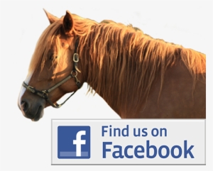 Zircon Running Cat Necklace Gift Idea Pca 04