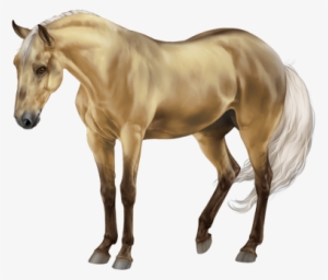 Currents - Equiverse Dark Grey