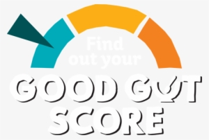 Get To Know Your Gut By Answering 10 Fun And Simple - Circle