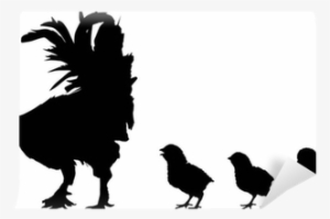 Three Newborn Chickens And Rooster Silhouettes On White - Cool Silhouettes Chicken