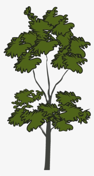 Santa Barbara Bowl Foundation - Santa Barbara Bowl