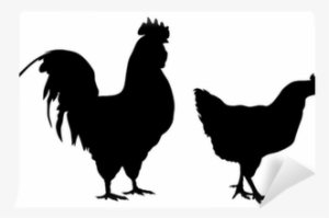 Never Use A Chicken And Other Stories