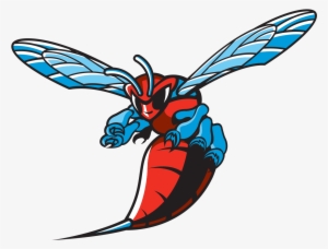 Delaware State Athletics Logo