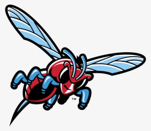 Delaware State Hornets Logo Png Transparent - Delaware State University Hornets Logo