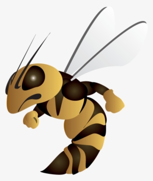 Hssu Brand Identity - Harris Stowe State University Mascot